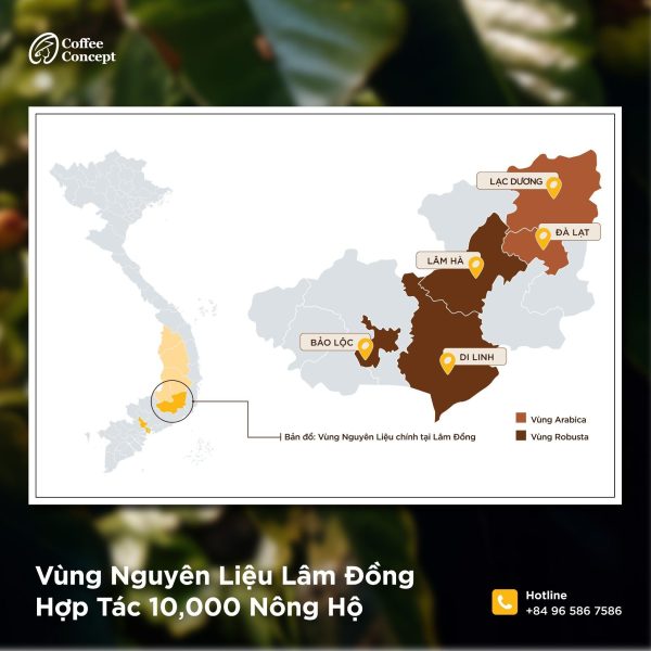 Cà phê rang PREMIUM ROBUSTA - Gói 250G/500G